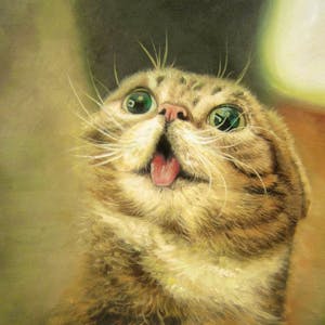 Custom Excited Cat Oil Painting